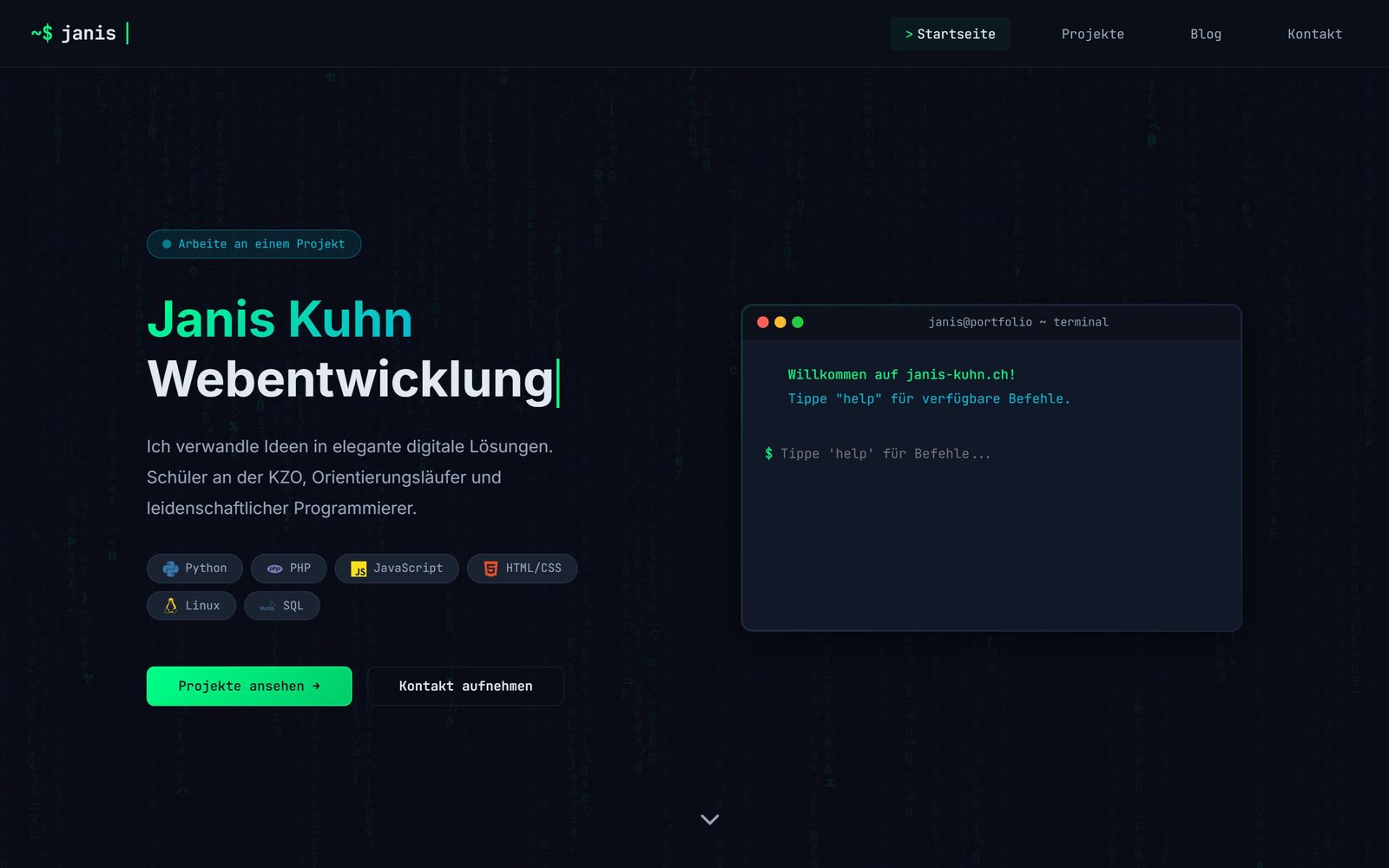 Janis Kuhn — website preview
